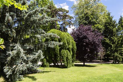 Hotel Domaine De Clairefontaine Chonas-lʼAmballan